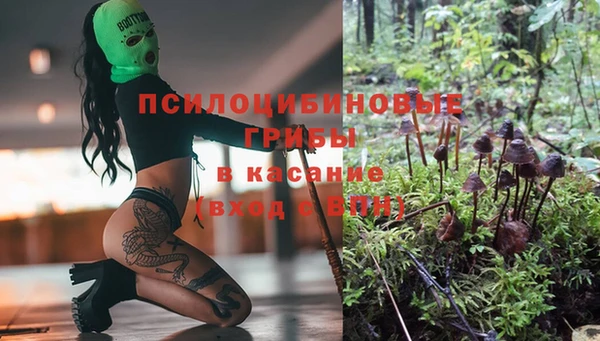 первитин Верхний Тагил