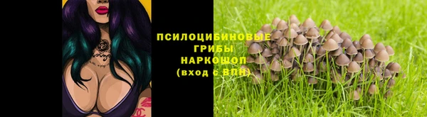 дживик Верея