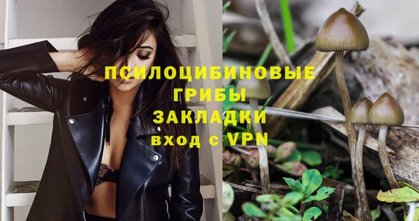 первитин Верхний Тагил